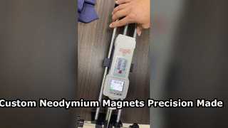 De Magneten van het douaneneodymium